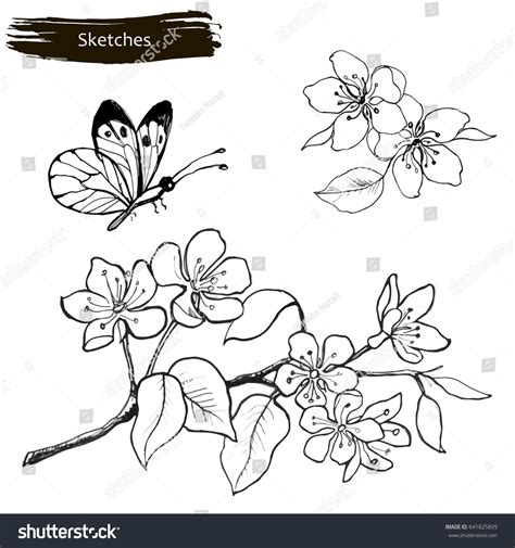 Image result for Spring Flowers Drawing