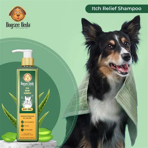 Will Aloe Vera Hurt Dogs