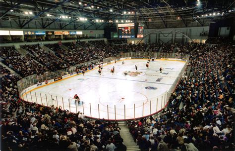 Arena TV Program 的图像结果