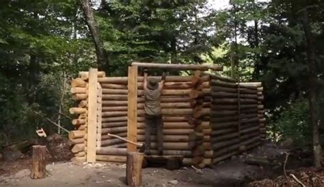 Log Cabin Building Process 的图像结果