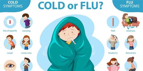 Image result for Fever Algorithm