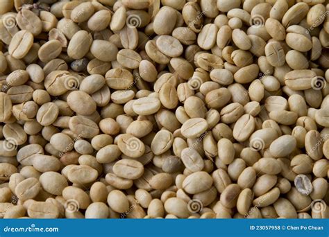 Green Unroasted Coffee Beans Stock Photo - Image of beverage, golden ...