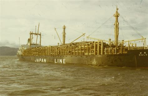 【日綿實業・ニチメン】木材専用船ジャパン・アゼリア号（1966年） │ 画像・資料でみる歴史 │ 双日歴史館
