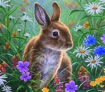 Image result for Easter Rabbit Colouring
