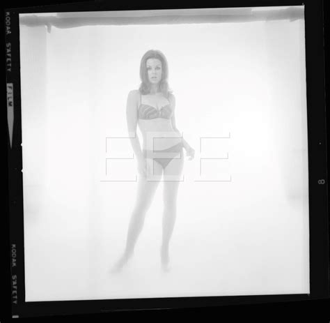1969 Roberta Collins Bikini Model Actress Harry Langdon Negative w ...