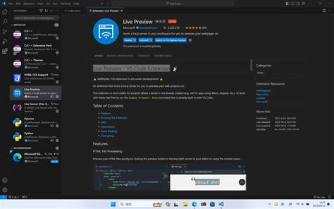 vs Code Live Preview HTML 的图像结果