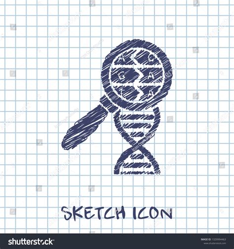 DNA Vector 的图像结果