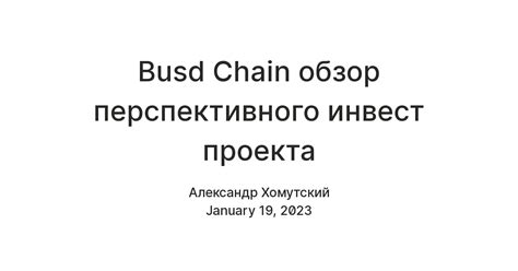 Busd Chain обзор перспективного инвест проекта — Teletype