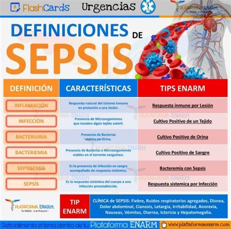 Definicion de Indigenas: Meaning & Cultural Significance