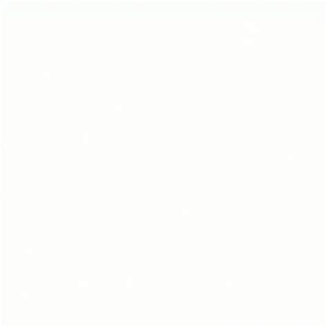 PCR Process 的图像结果