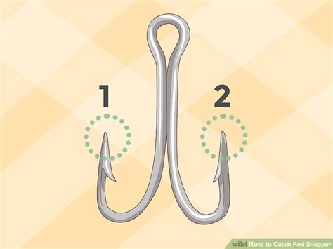 Image result for How to Catch Red Snapper