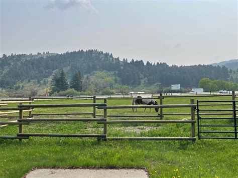 VangoBoon Camping | Bozeman, MT