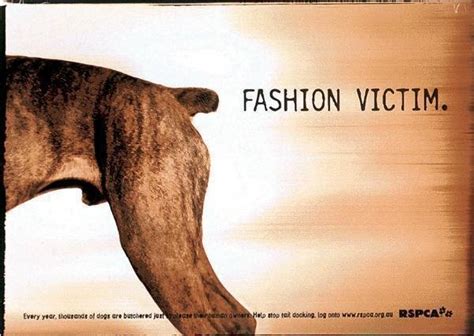 Petition · Say No to dog tail docking and ear cropping in India ...