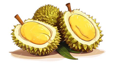 Premium AI Image | hand drawn cartoon fresh durian illustration