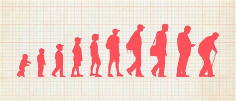 Life Expectancy Predictions Calculator – UAJET