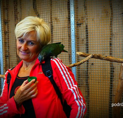 Papugarnia Carmen (Szczecin) - All You Need to Know BEFORE You Go