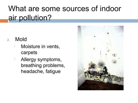 Environment Air Pollution 的图像结果