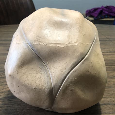 Image result for Alien Halloween Mask