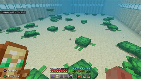 Image result for Minecraft Turtle Farm Tutorial