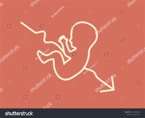 Image result for Fertility Rate Icon