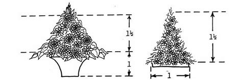 proportion definition in floral design