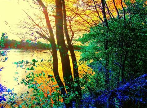 Stock Photos Free Commercial Use 的图像结果