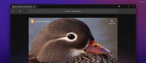 DuckDuckGo Internet Explorer 的图像结果