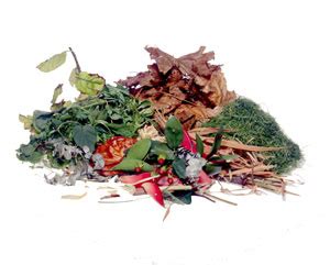 Image result for Garden Waste Collection