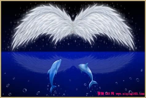 天使想给海豚一个吻， 可是海太深了。 海豚想给天使一个拥抱，_爱情163小说网