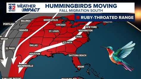 Ruby-Throated Hummingbirds Migrate Through North Carolina | wfmynews2.com