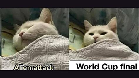 World Cup Finals 的图像结果