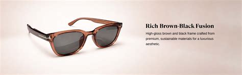 Pindorama | Brown Black Wayfarer Sunglass – ZAADRAN