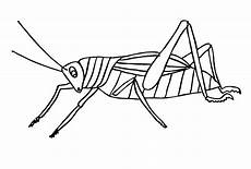 malvorlagen insekten gratis ausmalbilder zum drucken malvorlage insekten kostenlos 2 malvorlagen insekten gratis ausmalbilder zum drucken malvorlage insekten kostenlos 2