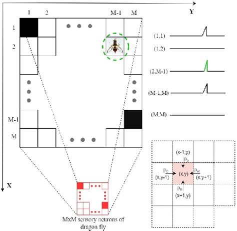 Bayesian Fly 的图像结果