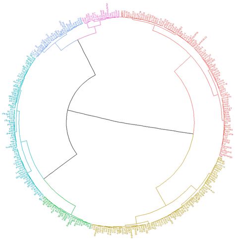 Evaluation of the Kernel Test Weight and Selection of Identification ...