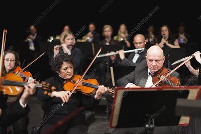 String Section Orchestra 的图像结果