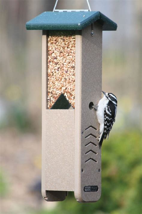Recycled Woodpecker Feeder | Backyard Nature Products