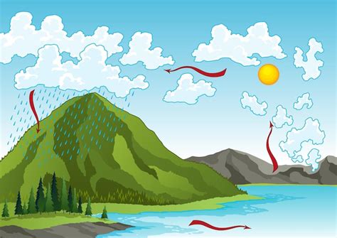 Page 16 | Water cycle Vectors - Download Free High-Quality Vectors from ...