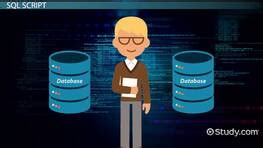 Image result for SQL Script vs Query