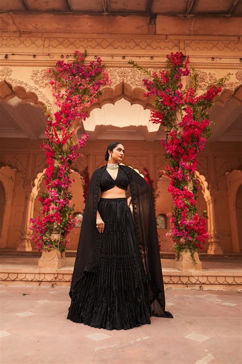 Reeti Arneja - Syah Pleated Lehenga Set - Elahe