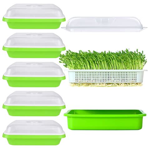 Buy SHUESS 6 Pack Seed Sprouting Tray with Drain Holes BPA Free Nursery ...