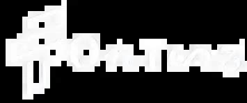 Image result for Mirrored Text