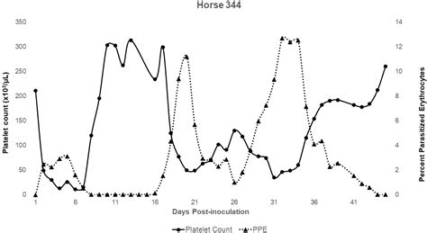 Clinical Progression of Theileria haneyi in Splenectomized Horses ...