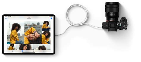 通过 iPad 上的 USB-C 端口进行充电和连接 - 官方 Apple 支持 (中国)