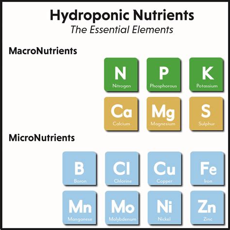 Essential Nutrients Required For Hydroponic Farming Success