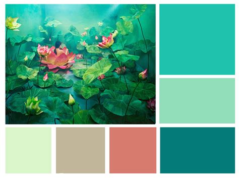 Color Schemes 的图像结果