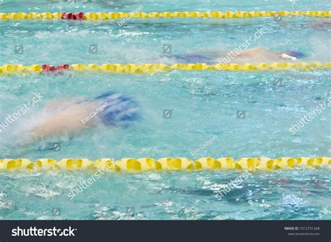 Swim Meet 的图像结果