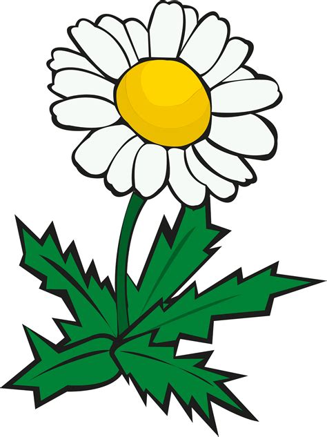 Free daisy graphics clip art, Download Free daisy graphics clip art png ...