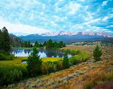 Image result for sawtooth