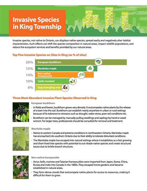 Invasive Species Management | Township Of King
